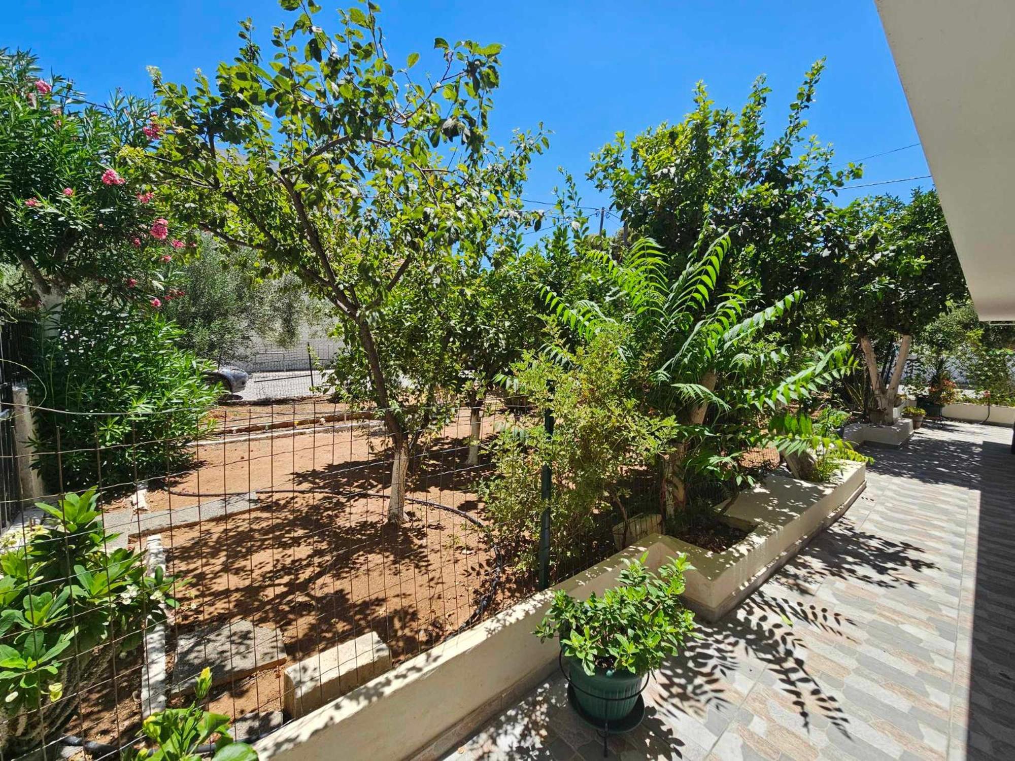 Melograno Apartment Markopoulo Mesogaias Exterior photo
