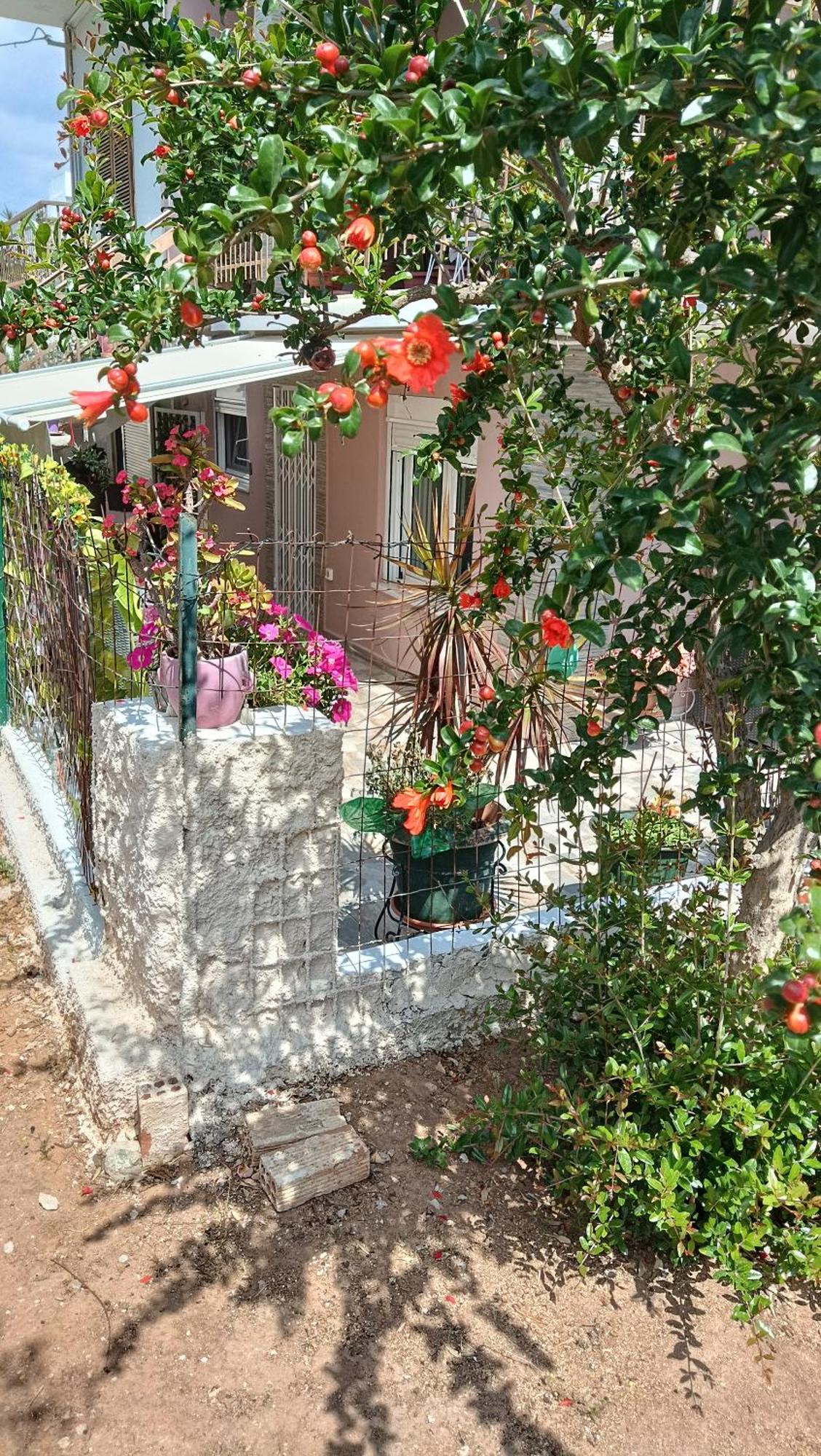 Melograno Apartment Markopoulo Mesogaias Exterior photo