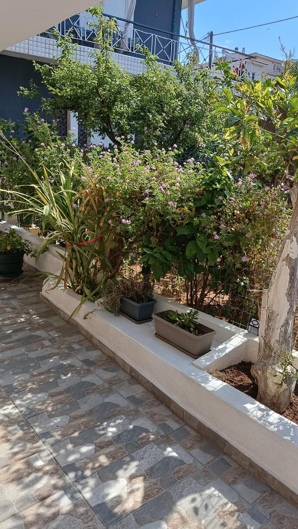 Melograno Apartment Markopoulo Mesogaias Exterior photo